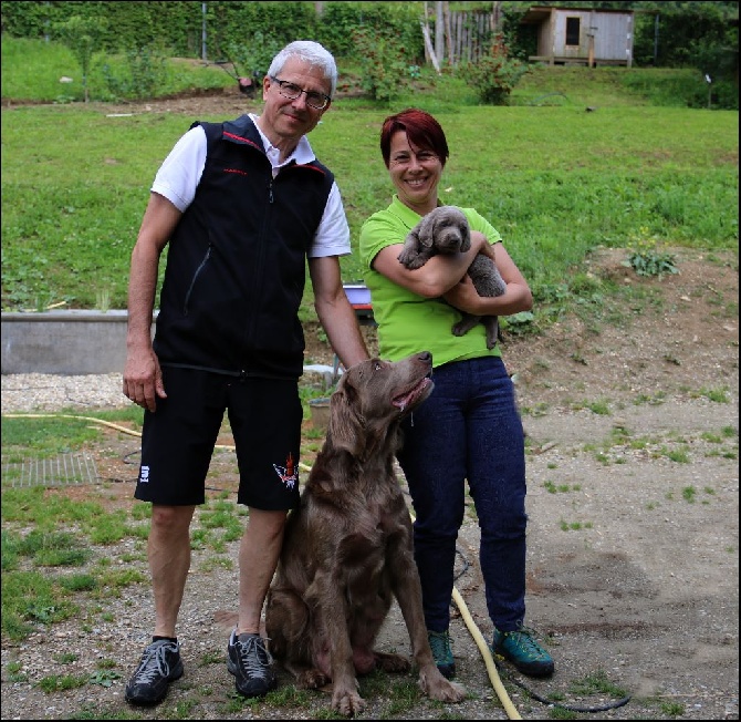 site de rencontre pour chiens saillie