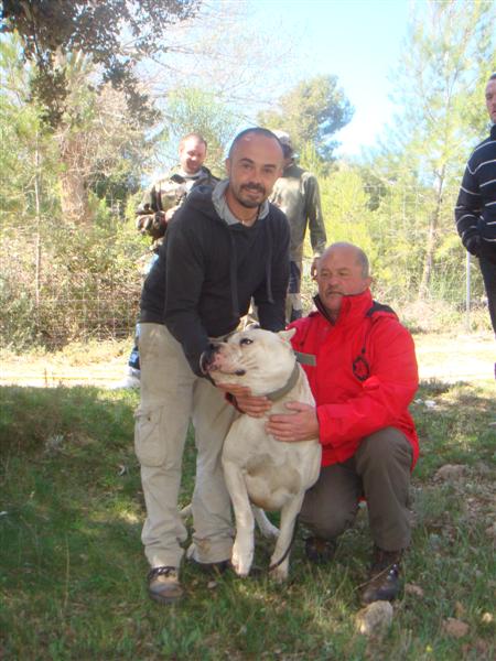 rencontre passion chien