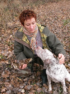 rencontre amoureuse chiens