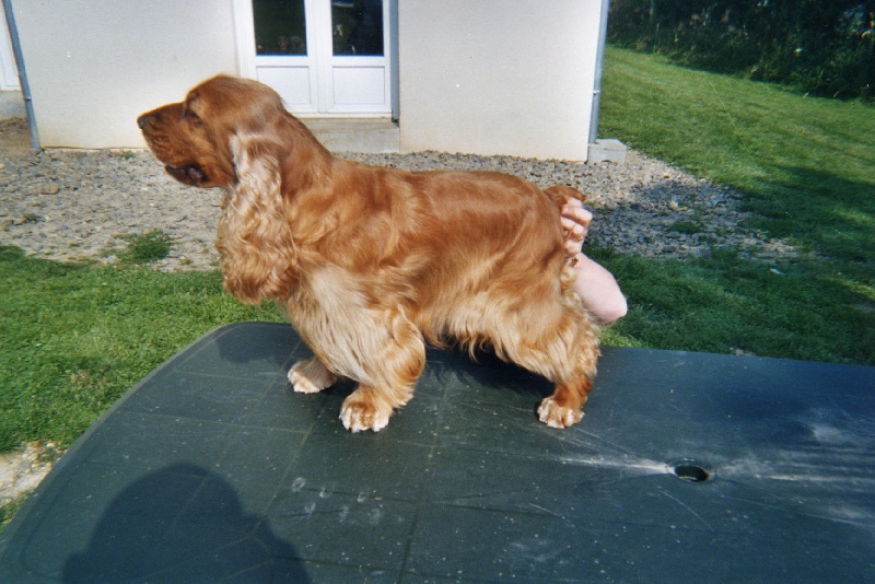 Penny lane De valleyres sous montagny