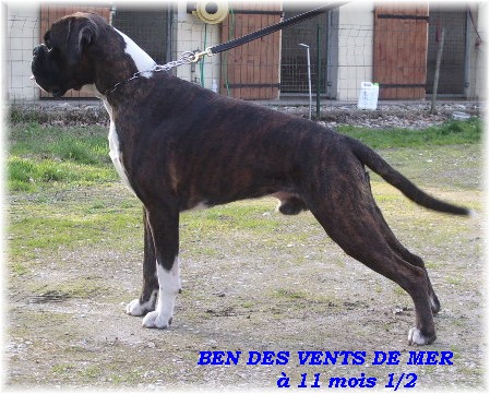 Ben des vents de mer