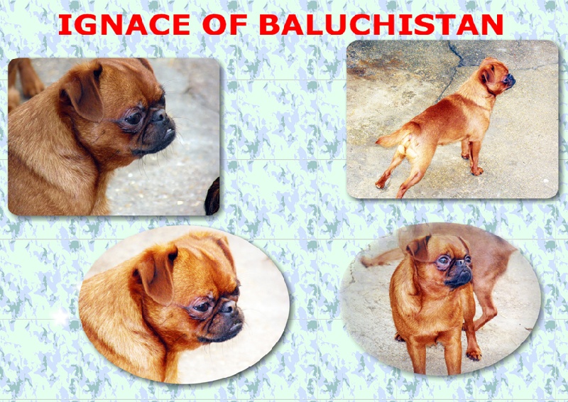 Ignace Of baluchistan