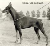 Christel van de eland