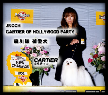 CH. Cartier of hollywood party jp