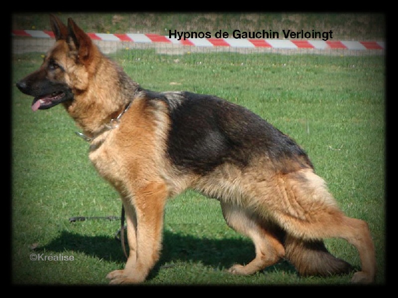 Hypnos de gauchin verloingt