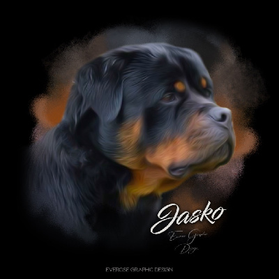 Étalon Rottweiler - Jasko De la brigade des colosses