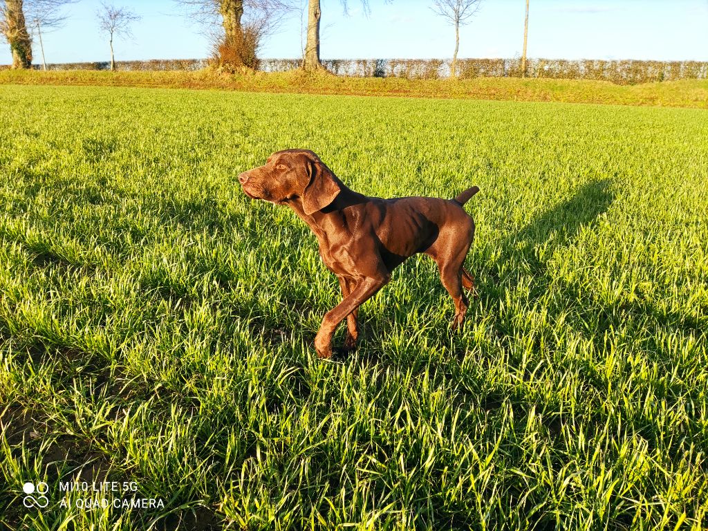 Manza Des Landes De Pirou