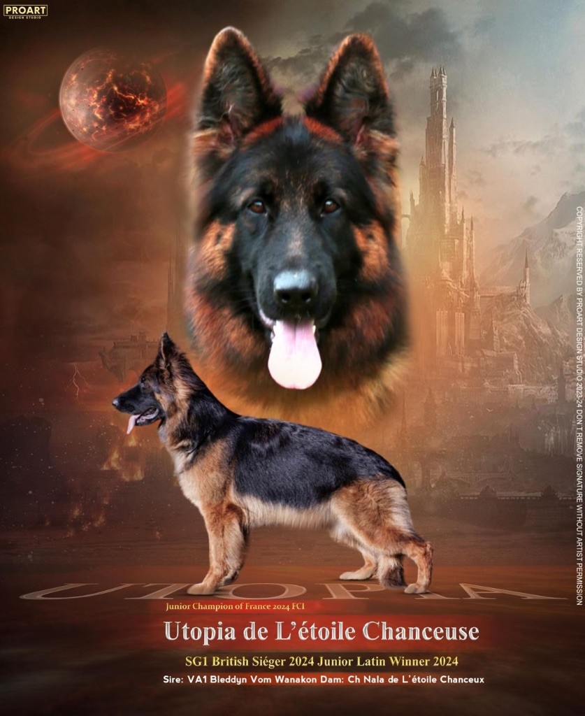 Publication : De L'Etoile Chanceuse Auteur : SG1Utopia De L'Etoile Chanceuse 