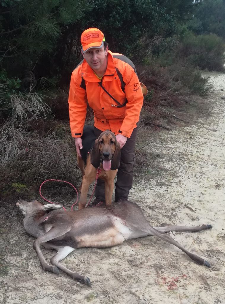 Ramsès De La Porte Des Hautes Landes