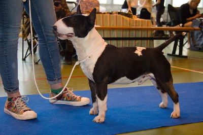 Lady killer Von der alten veste