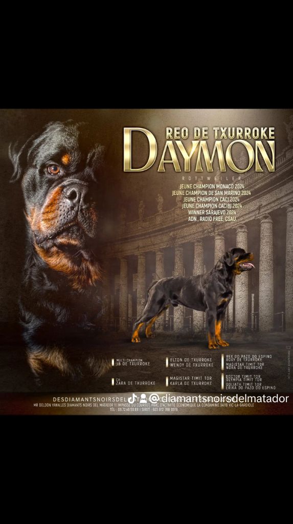 CH. Daymon (reo) de txurroke