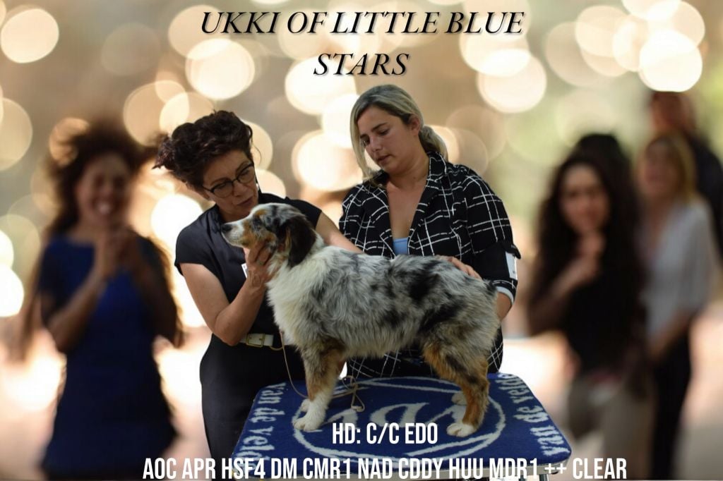 Publication : Of Little Blue Stars 