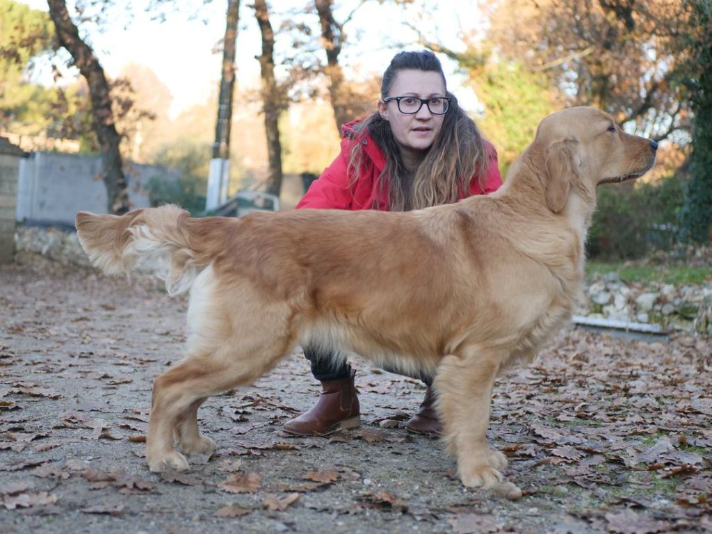 Punch coco ambré Des Amours Du Champ Dore