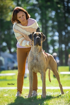 Tessa Au Royaume De Leyla