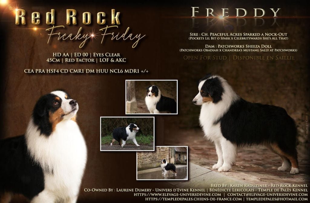 red rock Freaky friday dit freddy