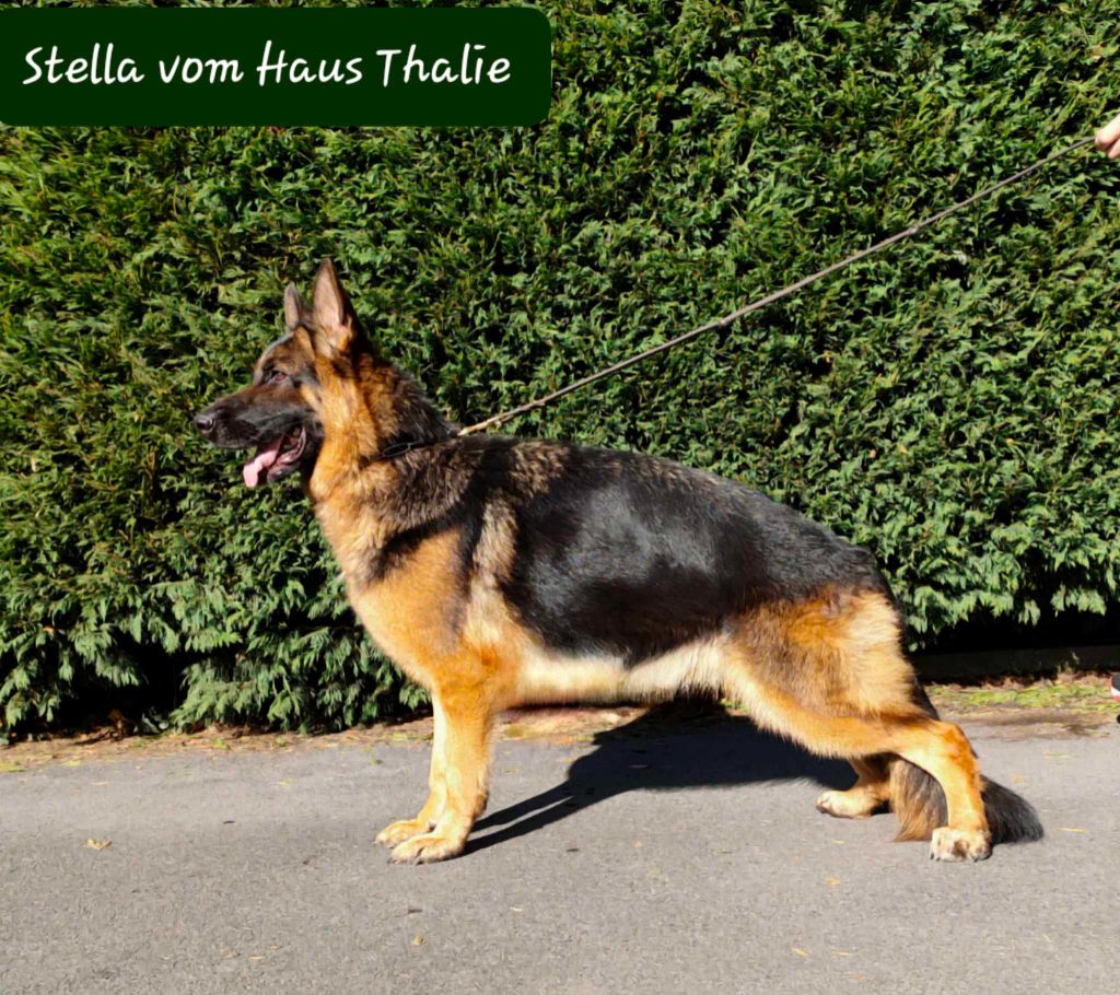 Publication : Vom haus thalie Auteur : vom Haus Thalie