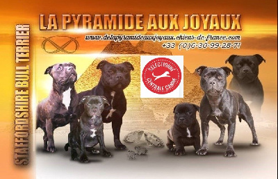 de La Pyramide Aux Joyaux