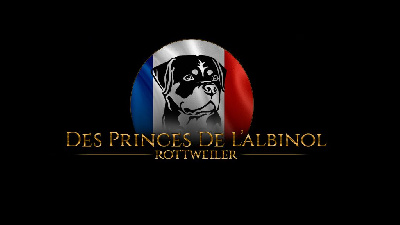 Des Princes De L'albinol