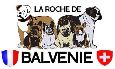 De La Roche De Balvenie