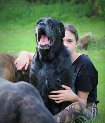 Il Guardiano Bella