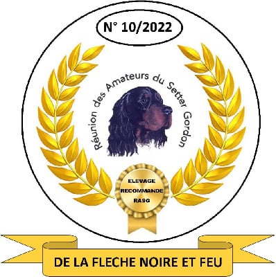 De La Flèche Noire Et Feu