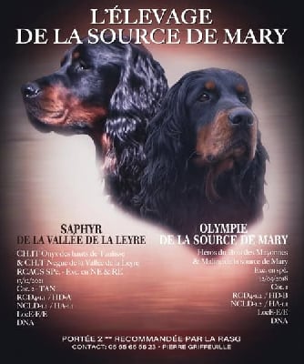 De La Source De Mary