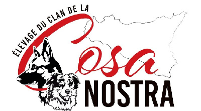 Du Clan De La Cosa Nostra