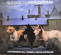 Du Haut Château