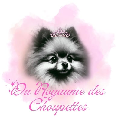 Du Royaume Des Choupettes