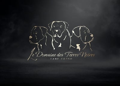 du Domaine Des Terres Noires