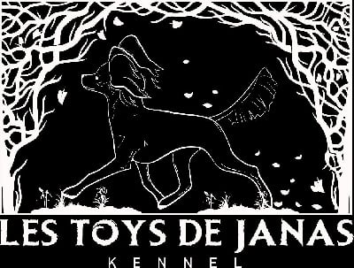 Des Toys De Janas