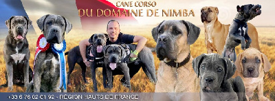 Du Domaine De Nimba