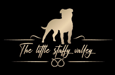 The Little Staffy Valley