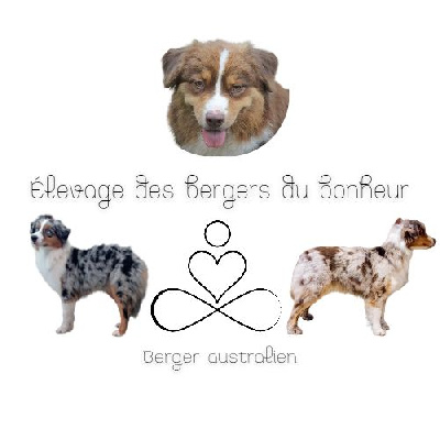 Des Bergers Du Bonheur