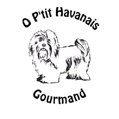 O P'tit Havanais Gourmand