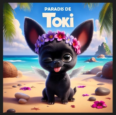 Du Paradis De Toki