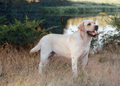 De L'Etang De La Vallée