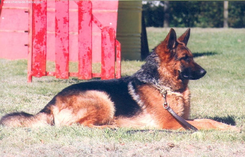 Tina des Collines du Boischaut