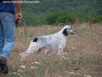 Uzzéo du Milobre de Bouisse