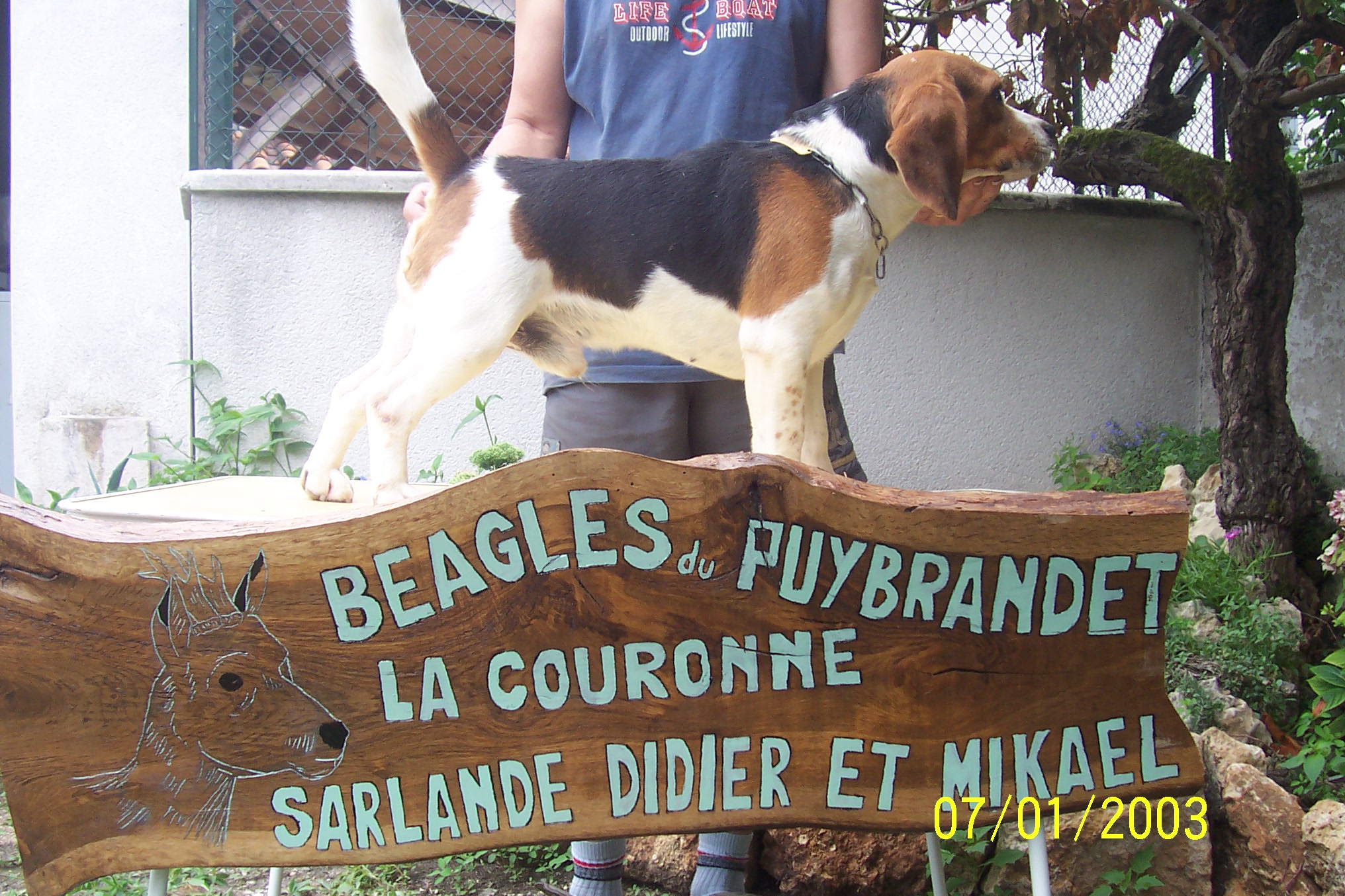 Unique du Puy Brandet