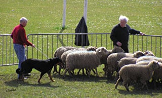 Aiken De La Terre Sacrée De Marius