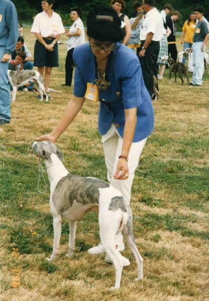 James lovely blue boy Du croquet