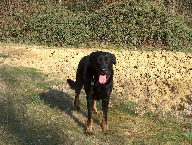 Valentino De La Terre Sacrée De Marius