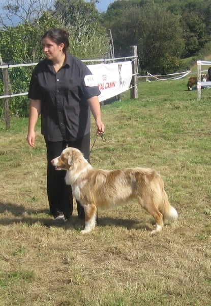 Bagheera de la Vallée de l'Hyrome