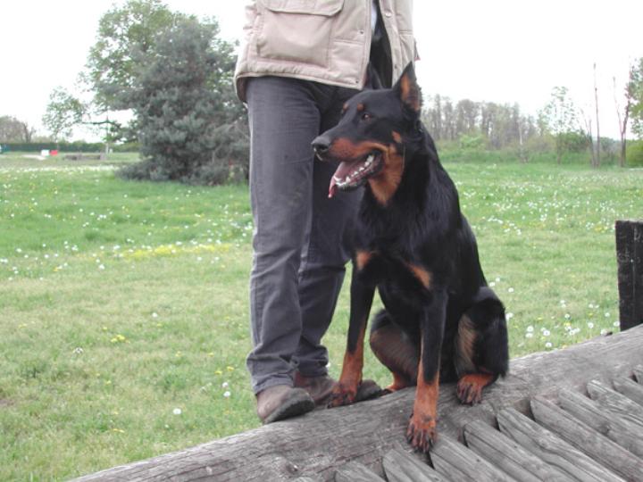 Ugo des Gaillards des Terres Froides