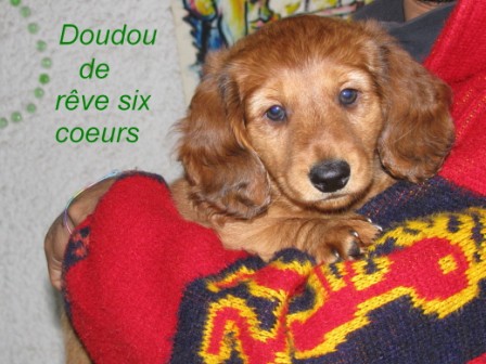 Doudou du reve six coeurs