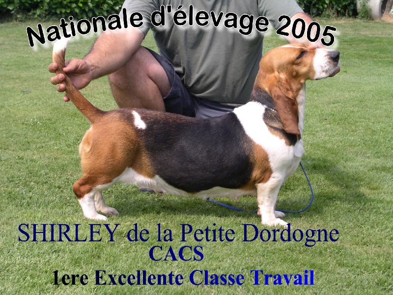 Shirley de la petite dordogne