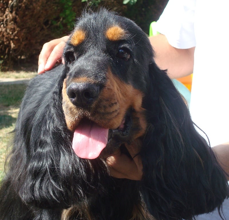 Chunky charlie de la Loire aux Roses Mayas