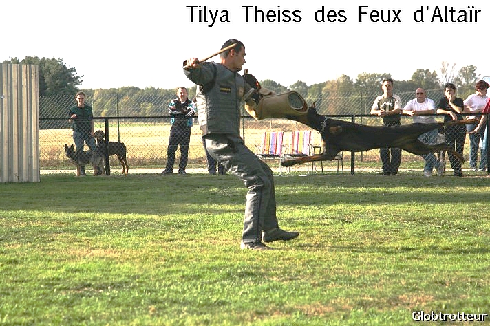 Tilya theiss des feux d'altair