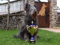 Sandokan des monts d'en crauzille